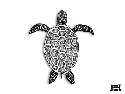 Slow and steady animals drawing illustration nature patience pen and ink sea turtle stippling turtle
