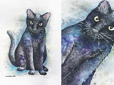 Rocky animal cat commission illustration micron painting pet stippling watercolor