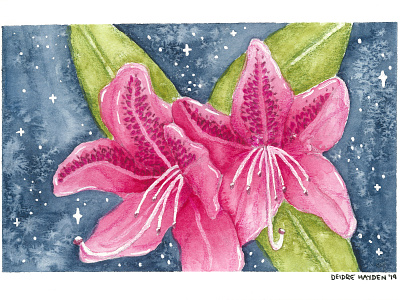 Coast Rhododendron botanical floral flower rhododendron seattle stateflower washington watercolor