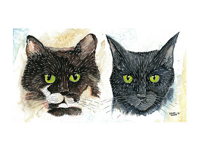 Bonded Pair animal cat cats illustration painting watercolor