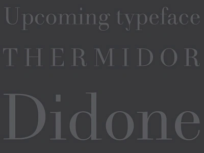 Thermidor reg didot teaser typography