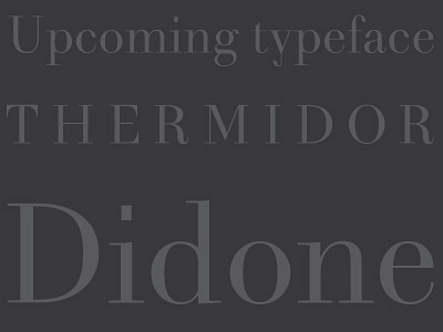 Thermidor reg didot teaser typography