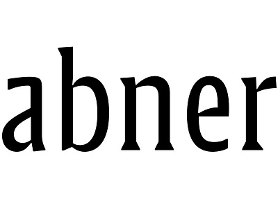 Elder Serif mixed serif type design typography