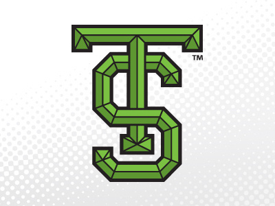 TS branding green initials logo logo design monogram rebranding vector