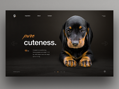 Puppy clean ui dark mode dark ui dog dogs hero pet pets puppy puppy dog slider ui uiux ux webdesign