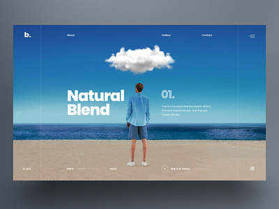 Natural Blend - Website Slider UI design beach blend hero landing page nature ocean sky slider ui uidesign ux webdesign website design