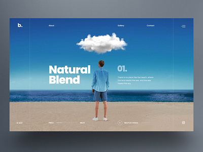 Natural Blend - Website Slider UI design