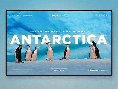 Antarctica - Documentary Series Landing Page app design concept homepage landingpage nature ui uidesign ux uxdesign webdesign website design