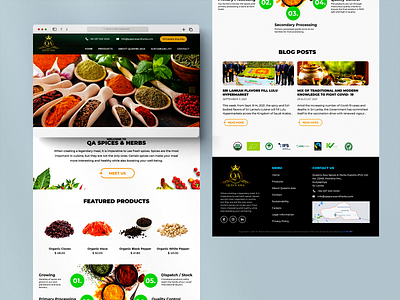 Web Design for Queen Asia Spices