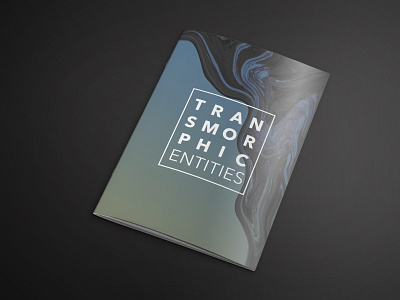 Transmorphic Entities exhibition catalogue- front art catalogue design design exhibition graphic design layout print design