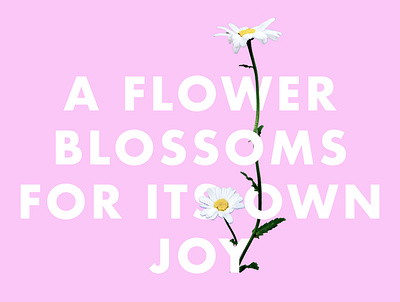 A Flower Blossoms For Its Own Joy design flowers font graphic design photoshop quote quote design type type art typeface