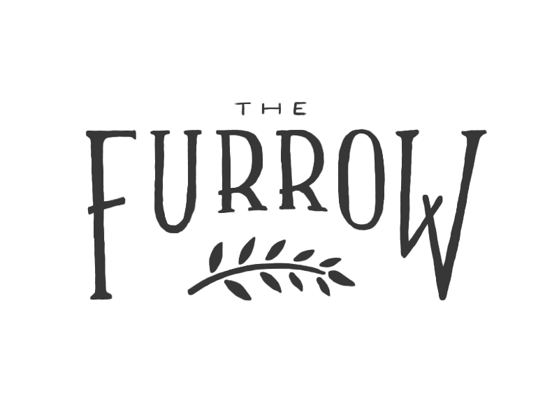 The Furrow - Frame by Frame animation cel draw frame gif hand drawn liquid logo photoshop
