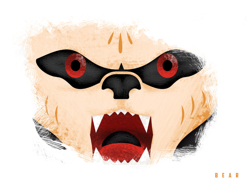 Triple Threat - Bear bear adobe cc illustrator photoshop texture design illustration