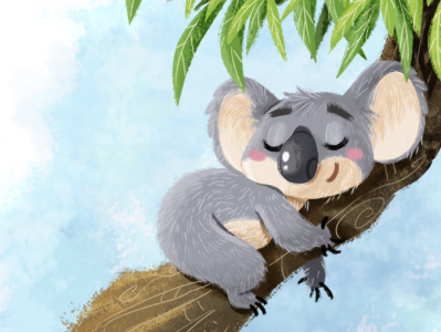 koala animals character design digital color illustration