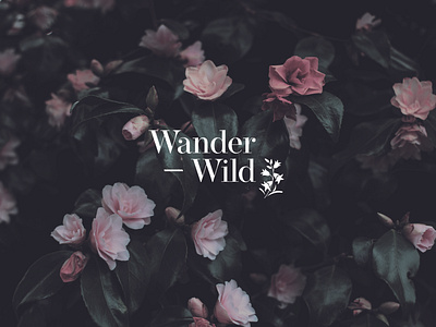 Wander - Wild