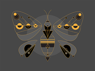 Butterfly design illustration