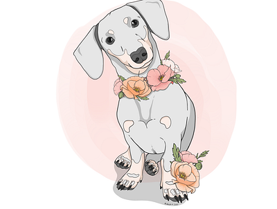 Poppy dachshund design illustration vector art vector illustration