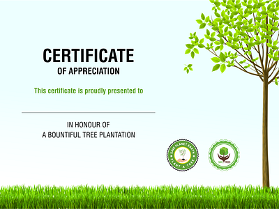 Certificate branding certificate design illustration vector