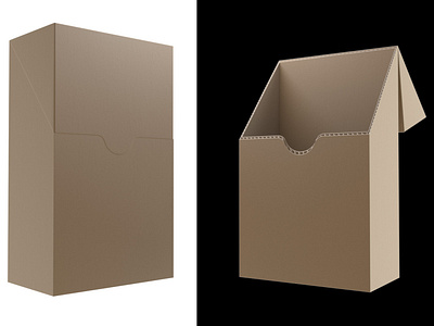 3D cardboard box model