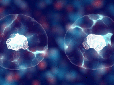 Cell animation aftereffects animatedgif animation cell cell animation gif health