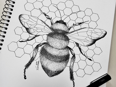 Bee pattern art drawing free hand drawing illustration lineart sketch