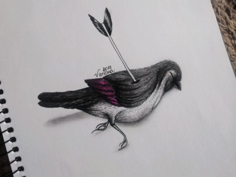 Hurt bird by Vanessa Martins on Dribbble