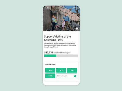 Daily UI // Day 032 // Crowdfunding