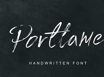 Portlame || Brush Font branding brush design graphic design illustration lettering logo typography vector web