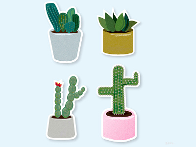 Practice of the Day cacti cactus design flat illustration stickers vector
