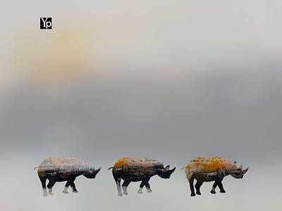 YP Three Hippo's - Product Line Design Concept abstract art animal art concept design graphic design hippo vector