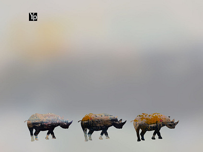 YP Three Hippo's - Product Line Design Concept