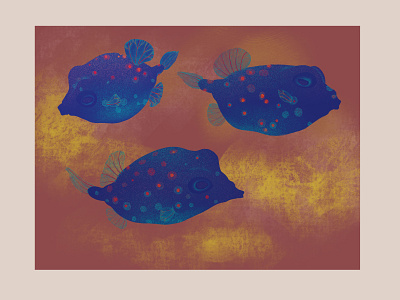 Boxfish Brothers