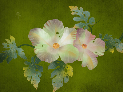 2 Beauties flower illustration illustrator plant poster xiweiwei