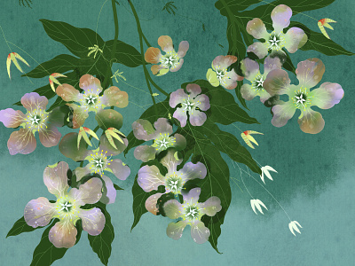 flowers & hornet ( white version) flower illustration illustrator insect plant poster xiweiwei