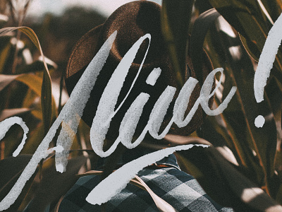 Alive! beautiful debut goodtype graphic design handlettering lettering script stamp typography vintage
