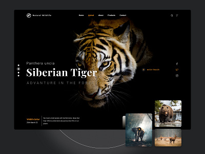 Wildlife safari website landing page branding bytestechnolab figma uiux websitedesign