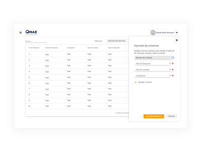 MAE Dashboard and Column Options app design ui