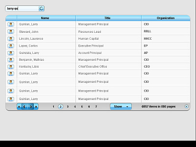 Deloitte Search 2011 widget