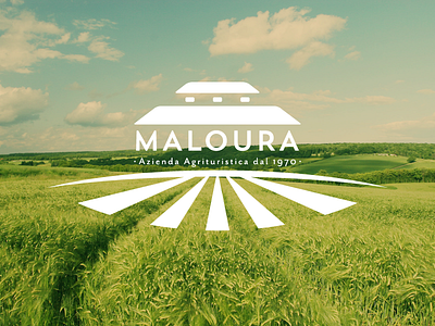 Azienda Agricola Maloura branding graphic logo