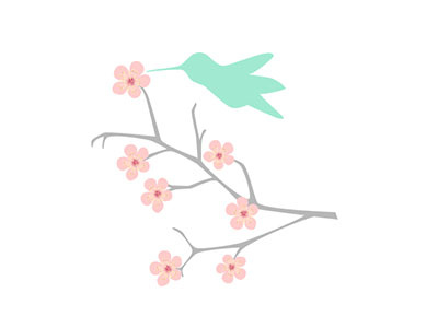 Hummingbird bird cherry blossoms pastel