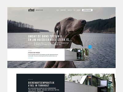 Webdesign A'bel dog veterinary webdesign weblounge website