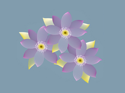 Beautiful flowers 2d design digital digitaldraw graphic design illustration