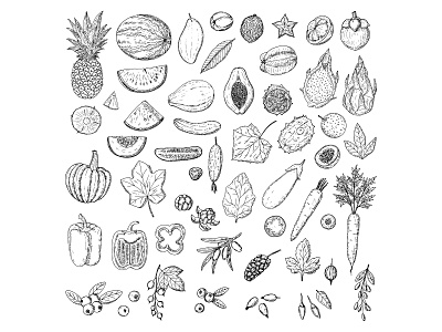 Set of fruits, vegetables and berries. Isolated objects on white berries cartoon design doodle exotic food forest fruit garden graphic hand drawn icon illustration isolated leaf summer vector vegan vegetables vegetarian