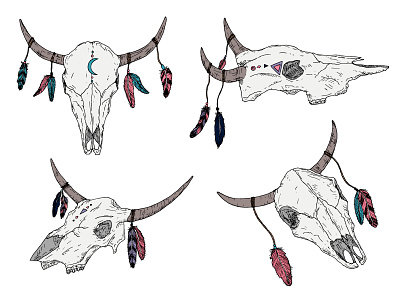 Bull skulls. Boho. bison boho buffalo bull colorful cow design doodle feather hand drawn head icon illustration logo occult ox sketch skull style vector