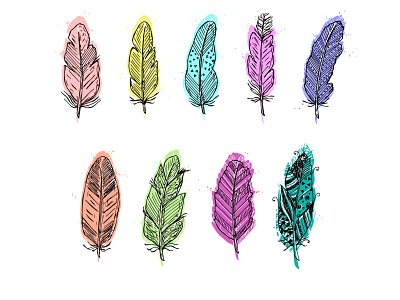 Set of hand-drawn feathers bird brand branding colorful cute design doodle feather feathers hand drawn illustration logo logodesign poster sketch vector