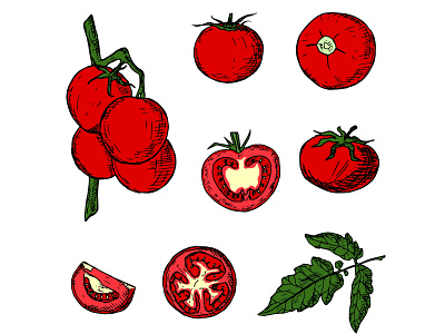 Set of tomatoes design doodle food hand drawn icons illustration logo sketch tomato tomatoes vector vegetable vegetarian