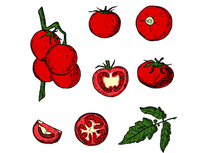 Set of tomatoes