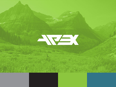 Apex Logo Concept apex logo type
