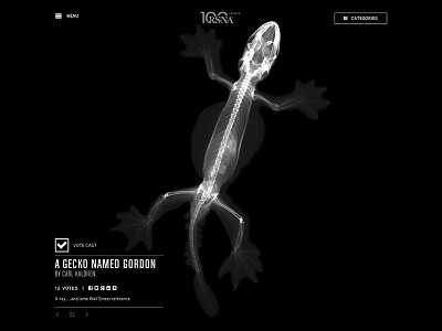 RSNA Radiology Contest - Gordon Gecko