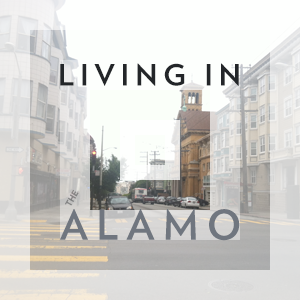 Living In Alamo Square alamo sf verlag